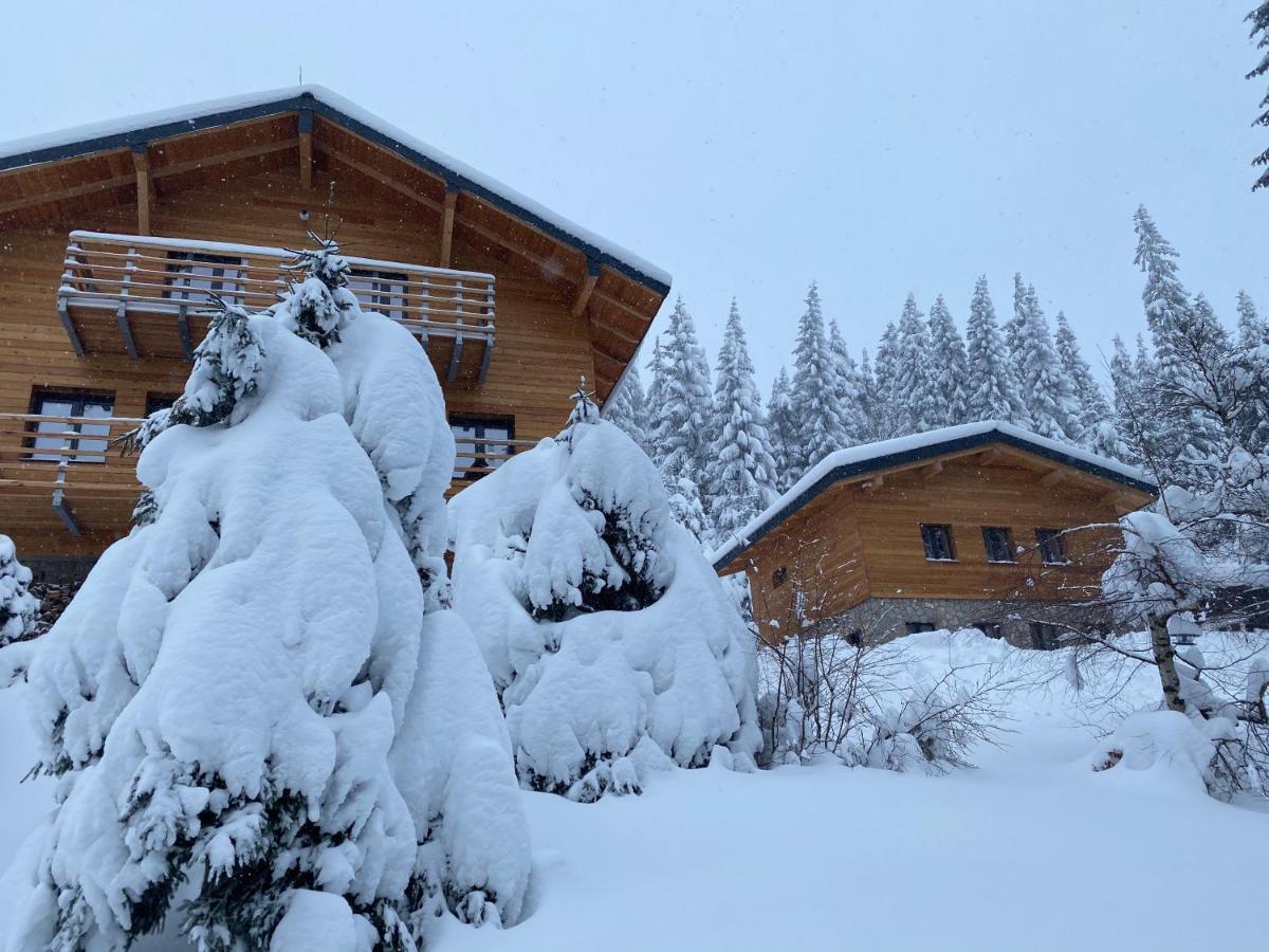 Apartmany Petr Horni Misecky - Spindleruv Mlyn Exterior photo